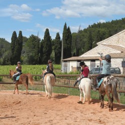 centre equestre Cuers-cours d'equitation La Garde-pension pour chevaux La Crau-baby-poney Cuers