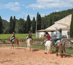 centre equestre Cuers-cours d'equitation La Garde-pension pour chevaux La Crau-baby-poney Cuers