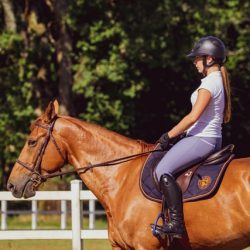 stages-equitation-cuers-var