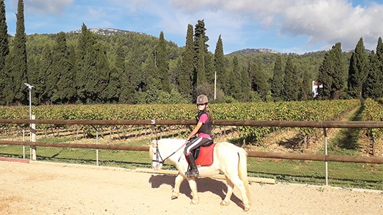 ecuries Cuers-centre equestre Cuers-cours d'equitation La Garde-pension pour chevaux La Crau-baby-poney Cuers